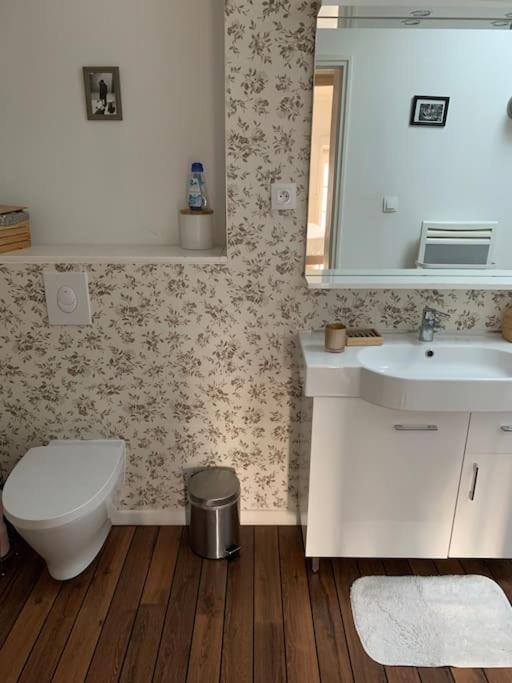 Appartement Duplexcoeur De Ville Metz Dış mekan fotoğraf